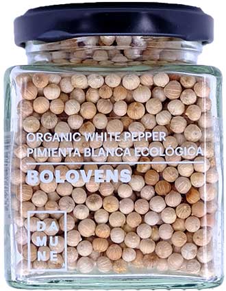 Poivre Blanc Bolovens BIO Premium en grains - 100g