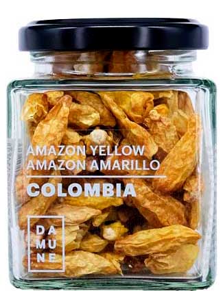 Chili Amazon Yellow